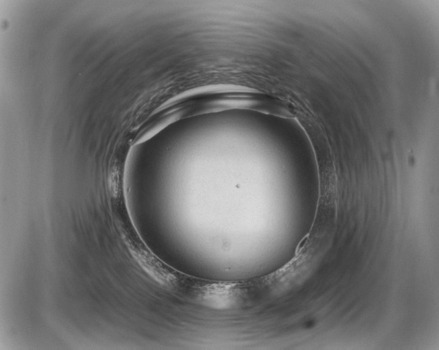 X0000087420090200704201436