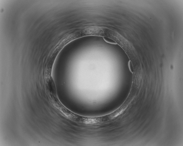 X0000087420091200704201436