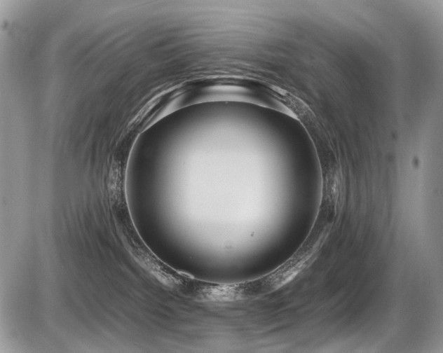 X0000087420092200704201436