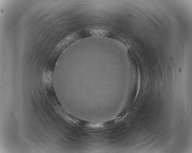 X0000087420093200704201436