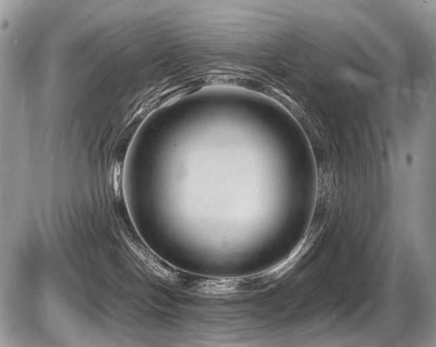 X0000087420094200704201436