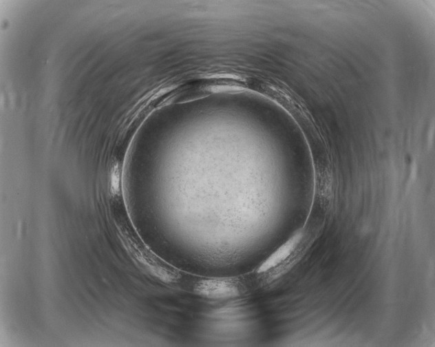 X0000087420095200704201436