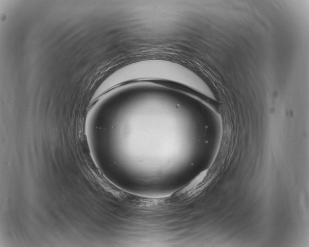 X0000087420096200704201437