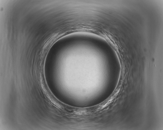 X0000087420097200704201436