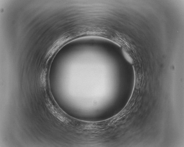 X0000087420098200704201436