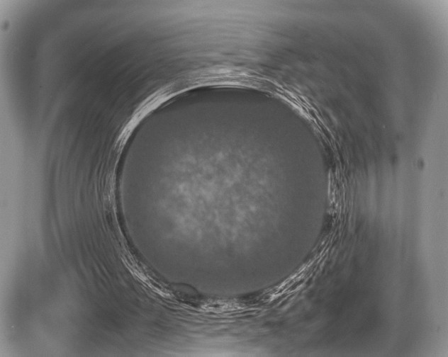 X0000087420099200704201436