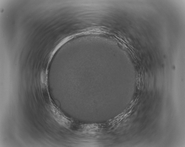 X0000087420100200704201436