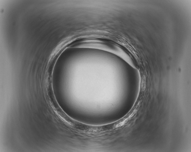 X0000087420101200704201436