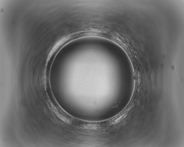 X0000087420102200704201436