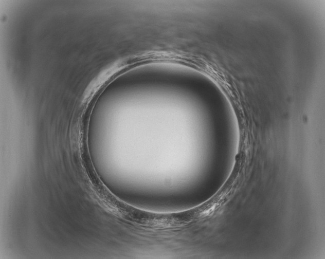 X0000087420103200704201436