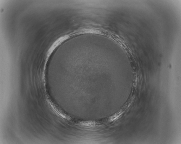 X0000087420104200704201436