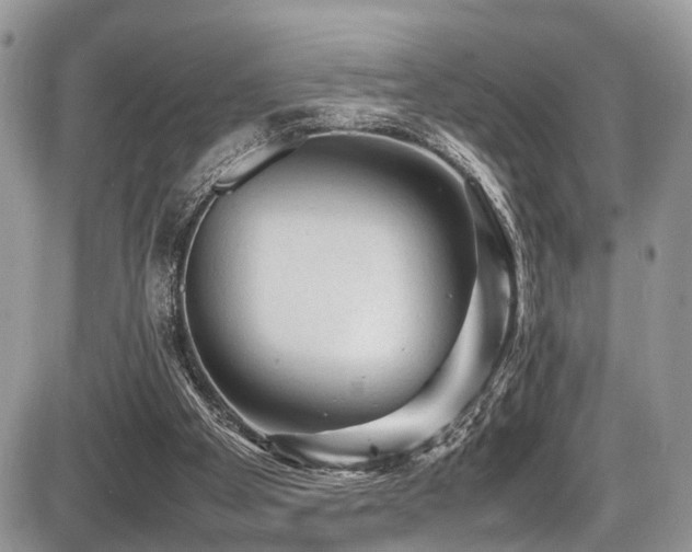 X0000087420105200704201436