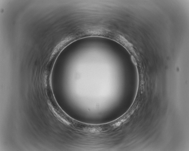 X0000087420106200704201436