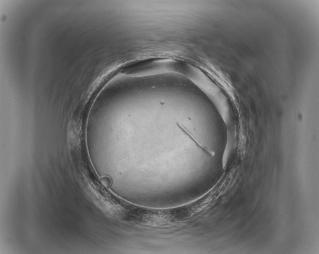 X0000087420107200704201436