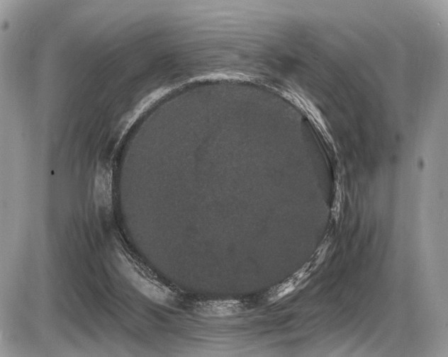 X0000087420108200704201436