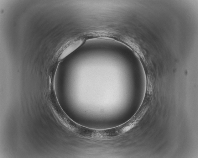 X0000087420109200704201436