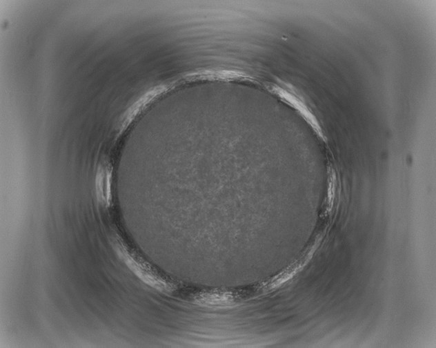 X0000087420110200704201436