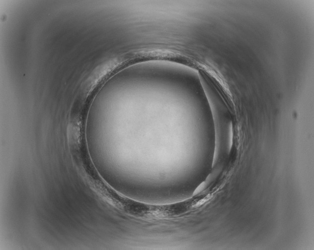 X0000087420111200704201436