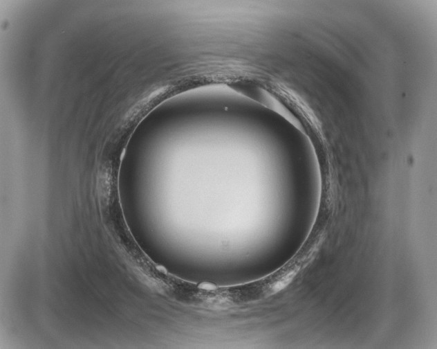 X0000087420113200704201435