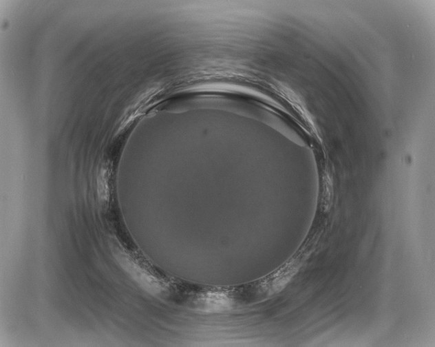 X0000087420114200704201435