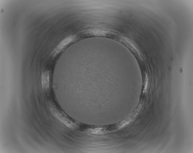 X0000087420120200704201435