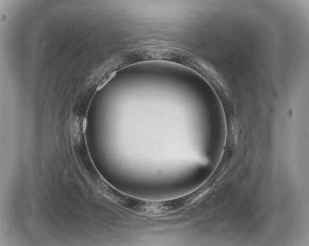 X0000087420121200704201435