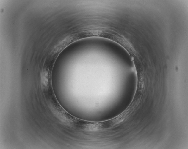 X0000087420122200704201435