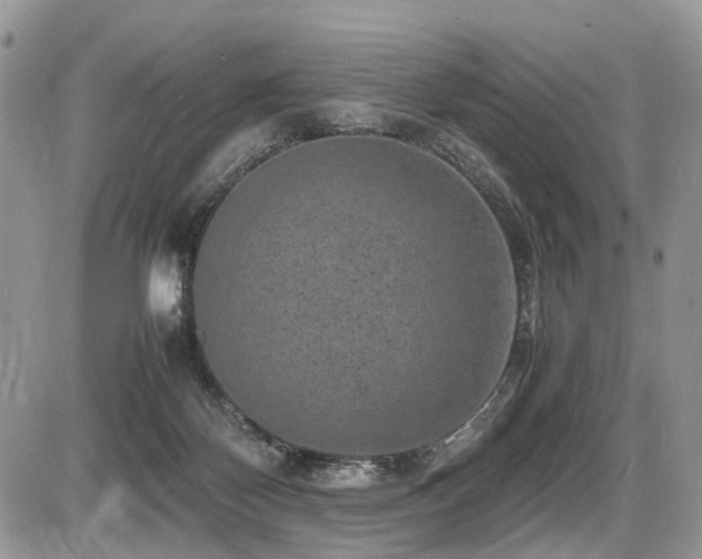 X0000087420124200704201435