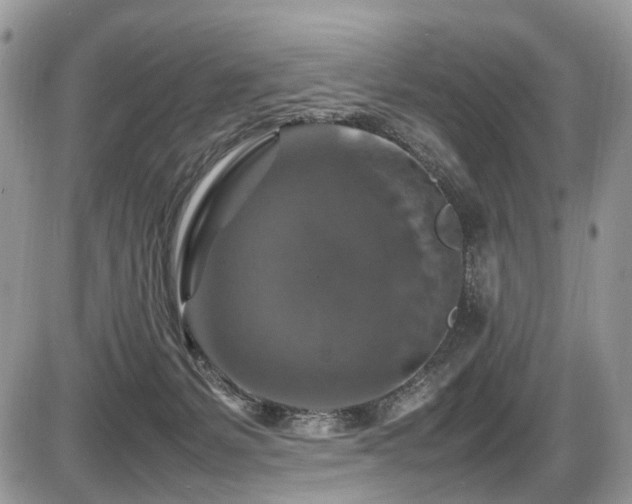 X0000087420127200704201435