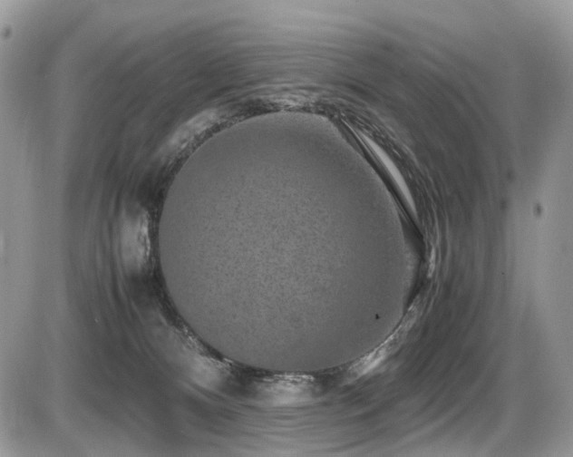 X0000087420128200704201435