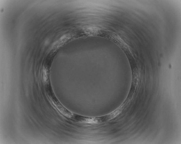 X0000087420130200704201435