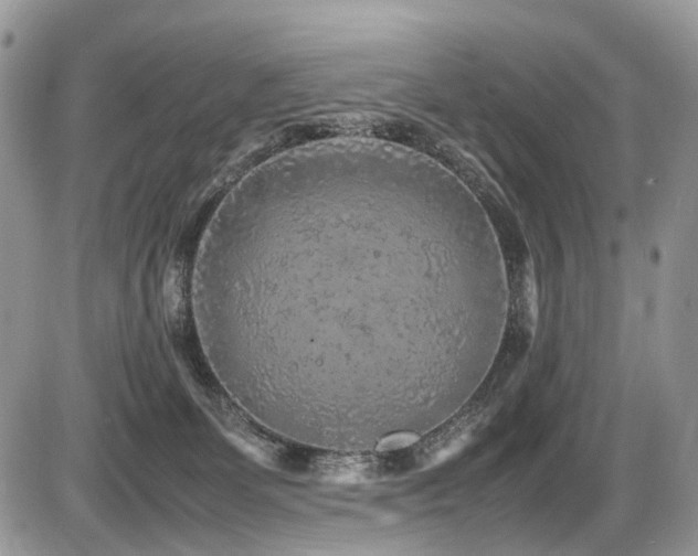 X0000087420131200704201435