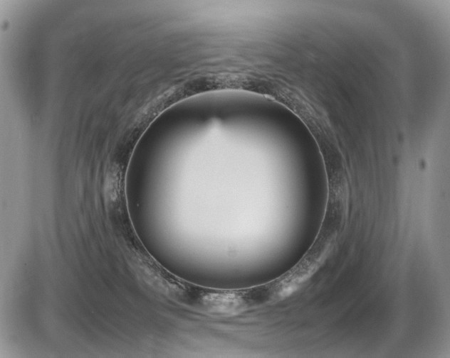 X0000087420133200704201435