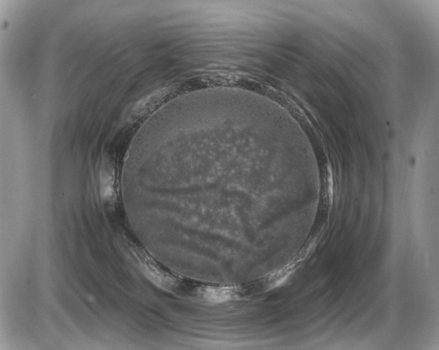 X0000087420134200704201435