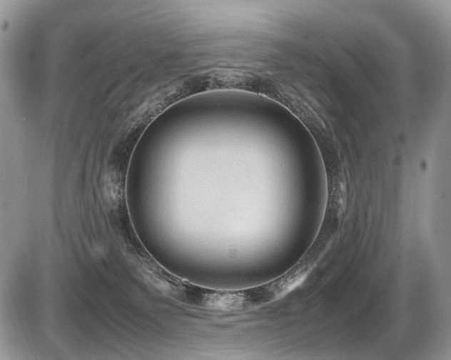 X0000087420135200704201435