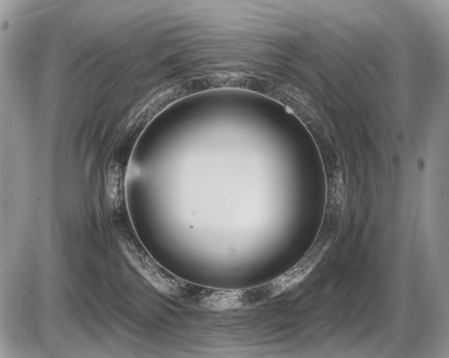 X0000087420138200704201435