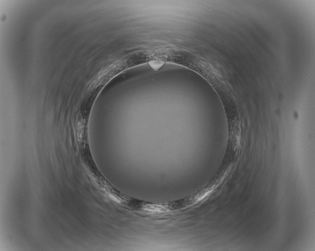 X0000087420139200704201435