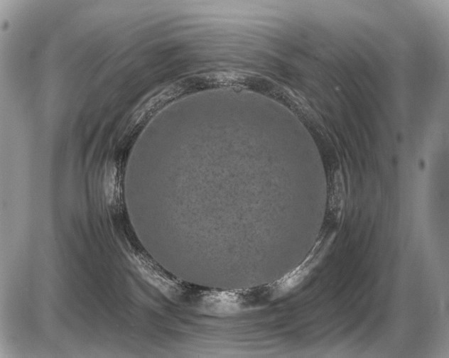 X0000087420140200704201435