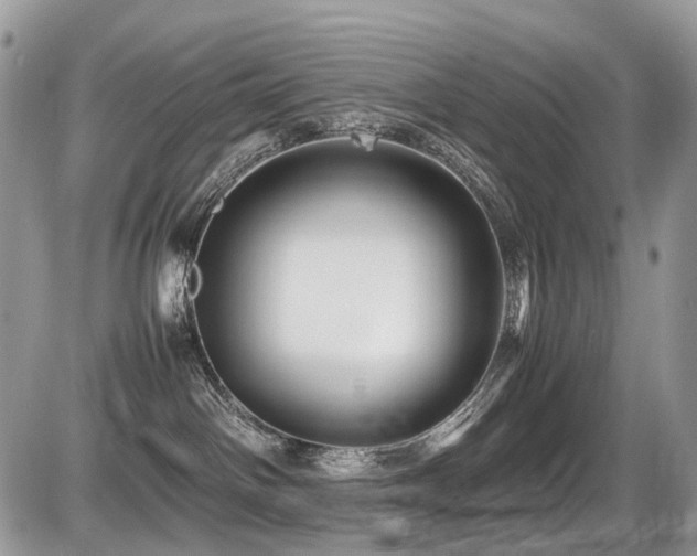 X0000087420142200704201435