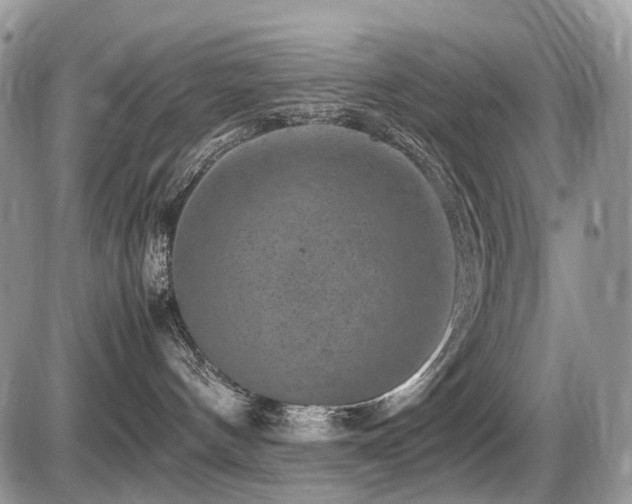 X0000087420144200704201435