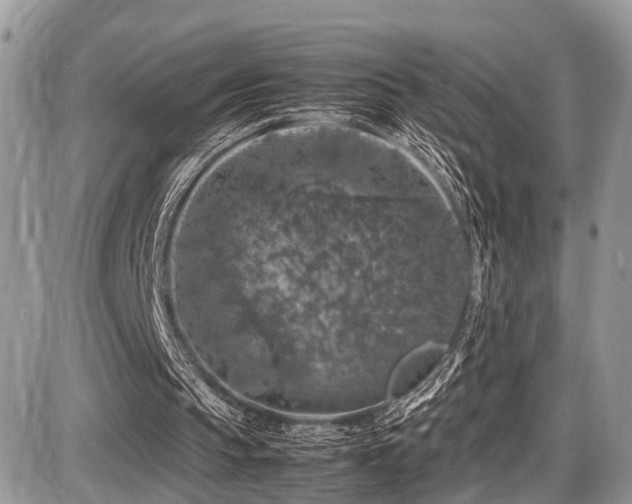 X0000087420145200704201434