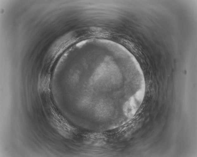 X0000087420146200704201434