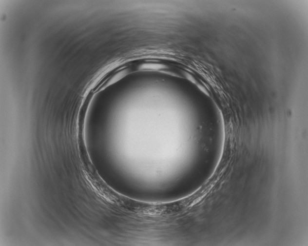 X0000087420148200704201434