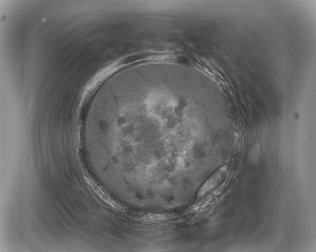 X0000087420149200704201434