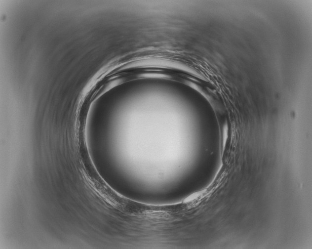 X0000087420150200704201434