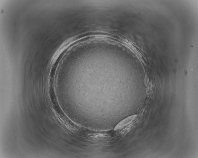 X0000087420151200704201434