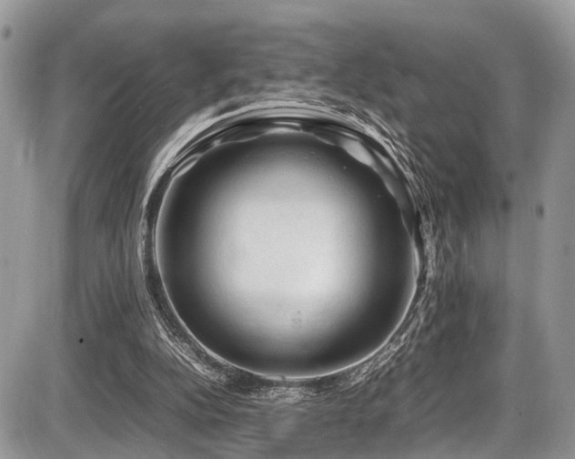 X0000087420152200704201434