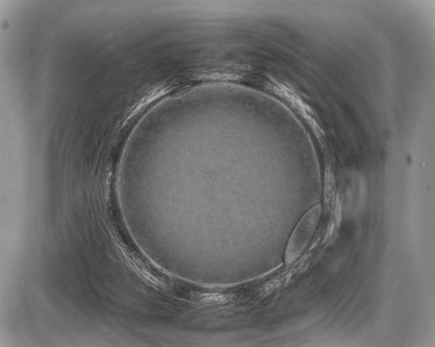 X0000087420153200704201434