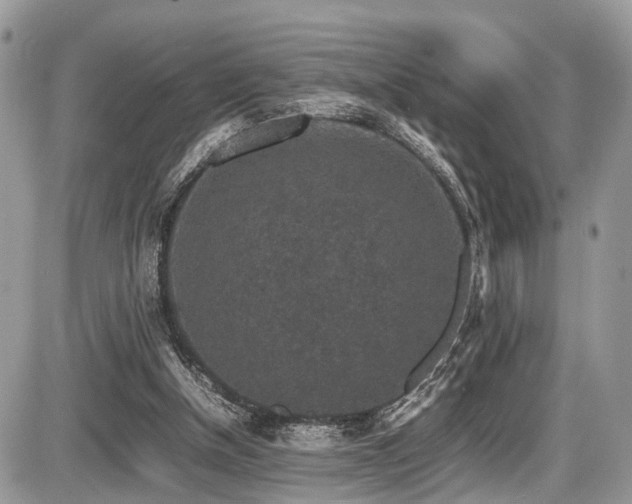 X0000087420154200704201434