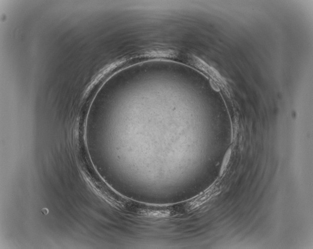 X0000087420155200704201434